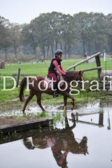 dsc_9462-standard-f12ox7.jpg