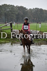 dsc_9465-standard-nhb1b5.jpg