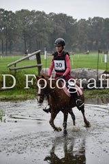 dsc_9467-standard-kksbgq.jpg