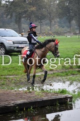dsc_9496-standard-dvtsx3.jpg