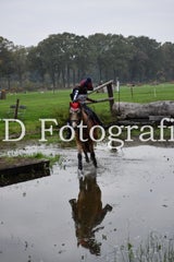dsc_9503-standard-hvlxq3.jpg