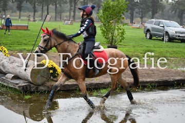 dsc_9507-standard-g36vht.jpg