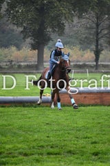 dsc_9512-standard-bn4w5g.jpg