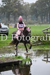 dsc_9531-standard-i442p2.jpg