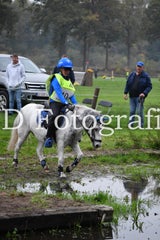 dsc_9574-standard-423nm6.jpg