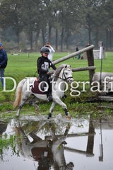 dsc_9599-standard-cmx6qi.jpg