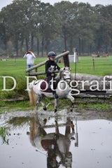 dsc_9600-standard-ex2sb2.jpg