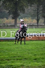 dsc_9614-standard-ykxmj6.jpg