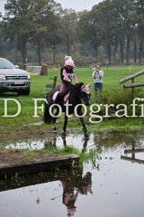 dsc_9620-standard-hhlywp.jpg
