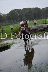 dsc_9632-standard-ftmfvf.jpg