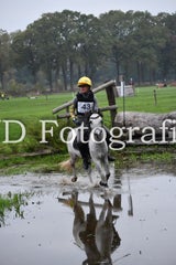 dsc_9648-standard-xn3sso.jpg