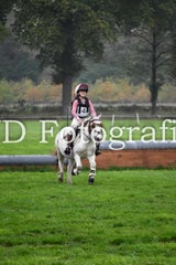 dsc_9661-standard-4v4c6w.jpg