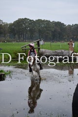 dsc_9669-standard-6p02xg.jpg