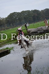 dsc_9670-standard-gy45c6.jpg