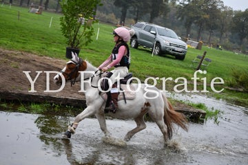 dsc_9673-standard-ybdlbj.jpg