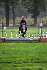 dsc_9677-standard-wo04hn.jpg