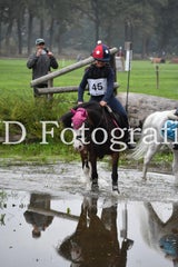dsc_9701-standard-xvumtg.jpg