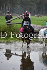 dsc_9702-standard-bd8dpj.jpg