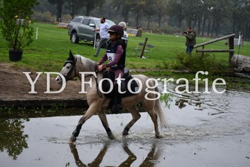 dsc_9742-standard-3wtd81.jpg