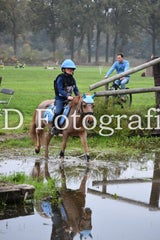 dsc_9807-standard-kewo6v.jpg