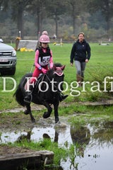 dsc_9828-standard-yjxrnz.jpg