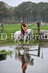 dsc_9884-standard-pykko9.jpg