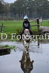 dsc_9910-standard-l1b5gr.jpg