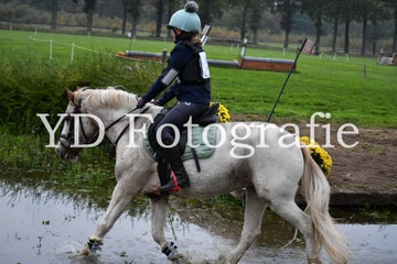 dsc_9917-standard-gnzq6c.jpg