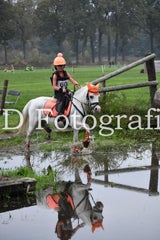 dsc_9923-standard-u4g80l.jpg