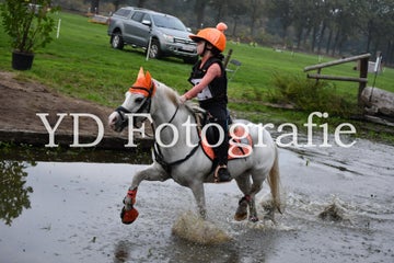 dsc_9931-standard-jw578p.jpg