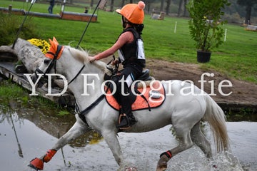 dsc_9933-standard-234yid.jpg