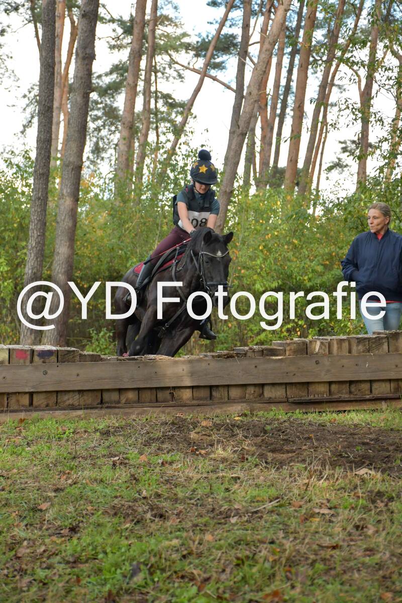 eventing-grobbendonk-4488-standard-blt9y8.jpg