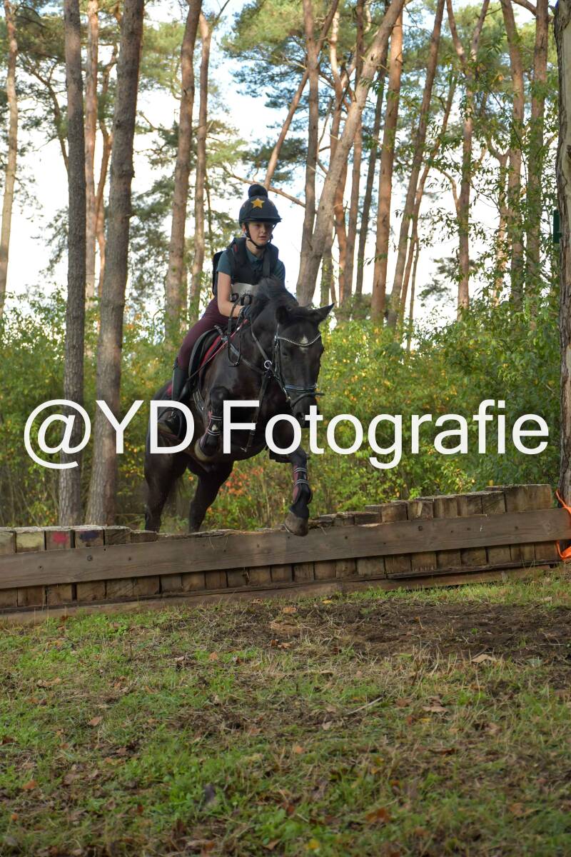 eventing-grobbendonk-4493-standard-9cuhbx.jpg