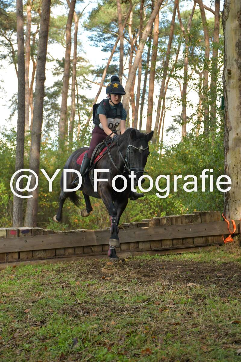 eventing-grobbendonk-4494-standard-1w4wed.jpg