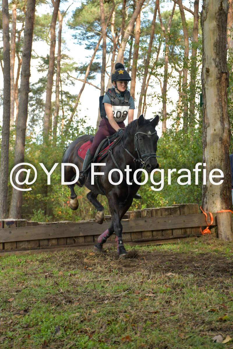 eventing-grobbendonk-4495-standard-gp989d.jpg
