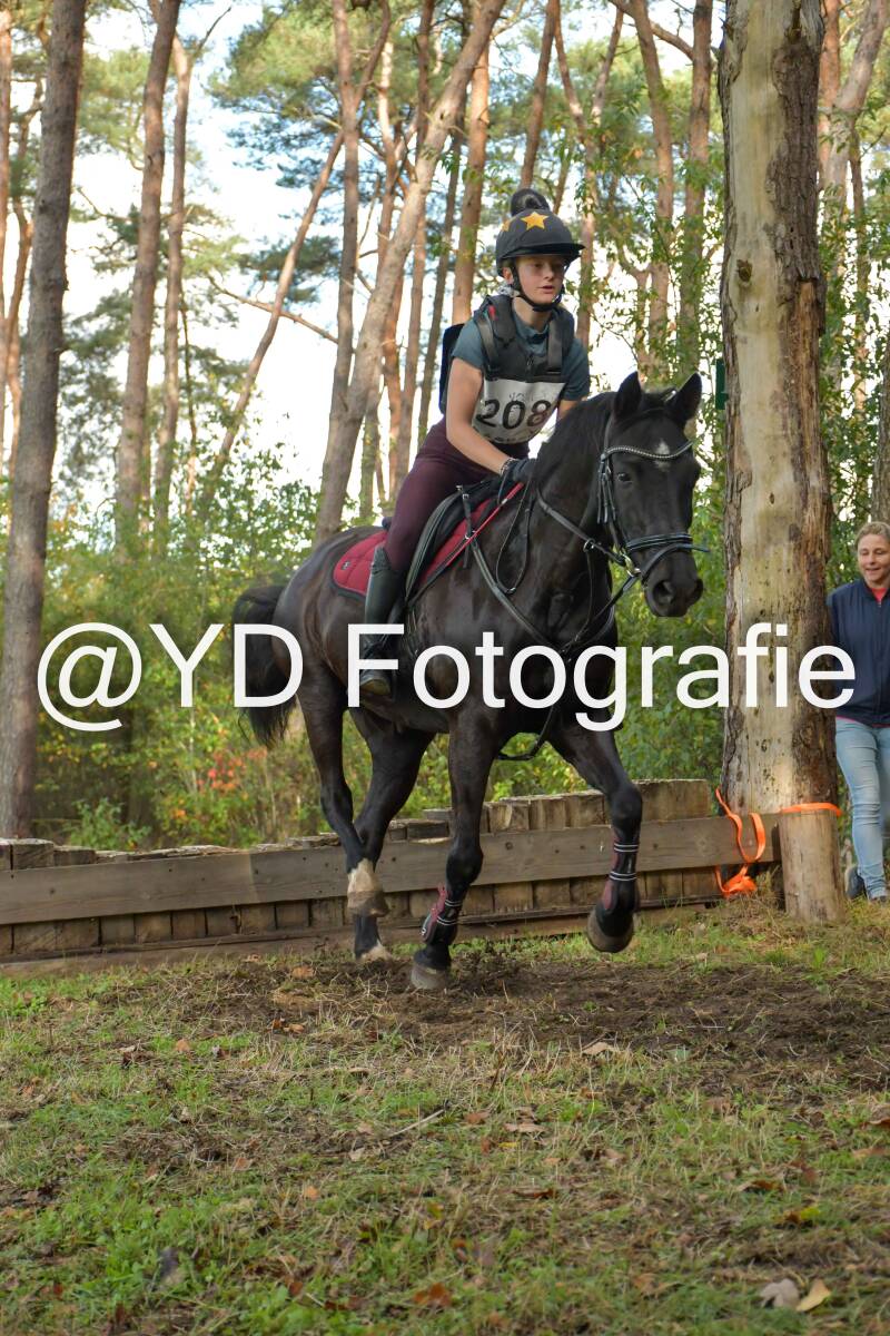 eventing-grobbendonk-4496-standard-6rjmfd.jpg
