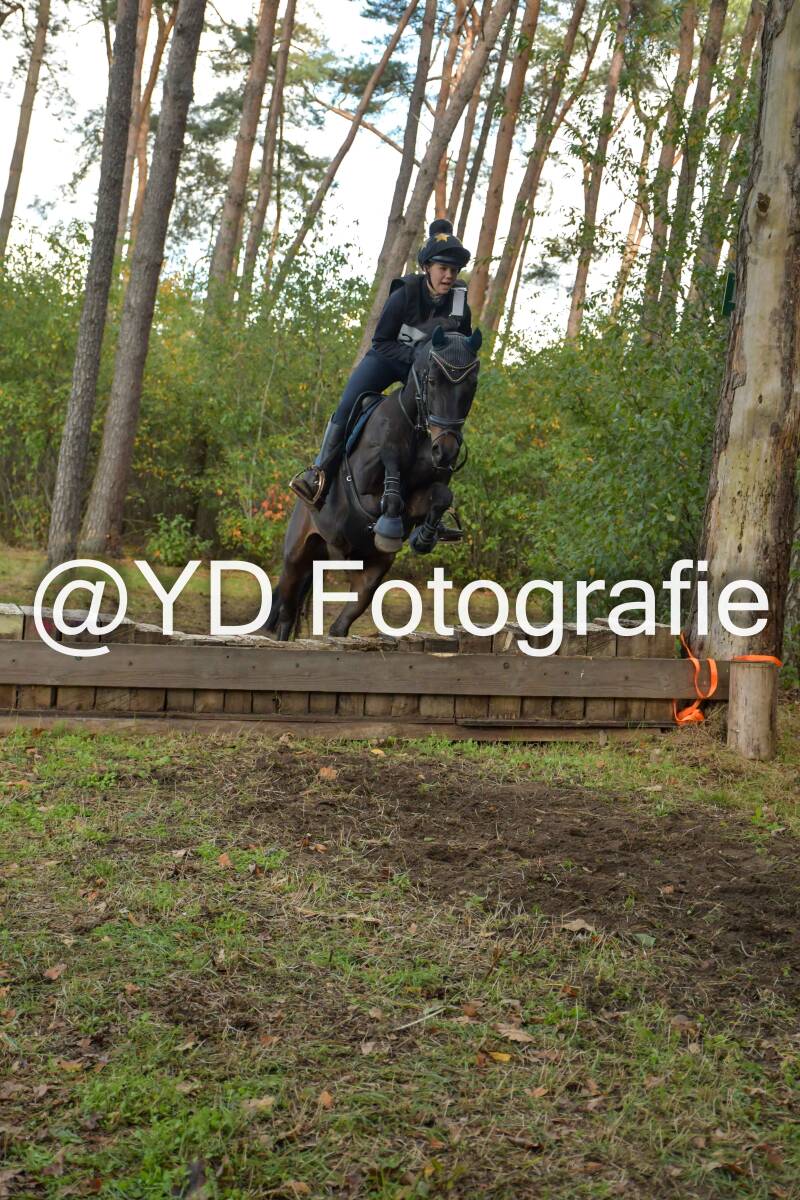eventing-grobbendonk-4497-standard-t5sh1f.jpg