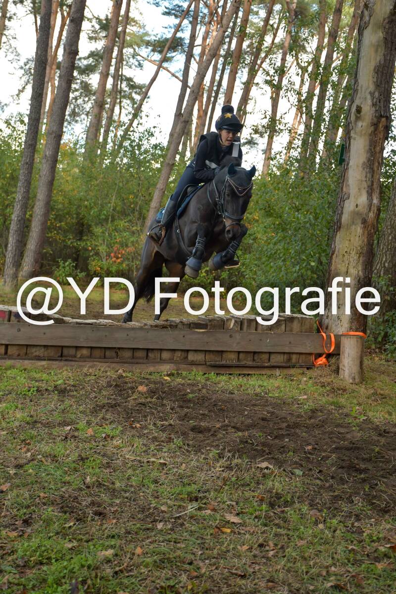 eventing-grobbendonk-4498-standard-hlxuhv.jpg