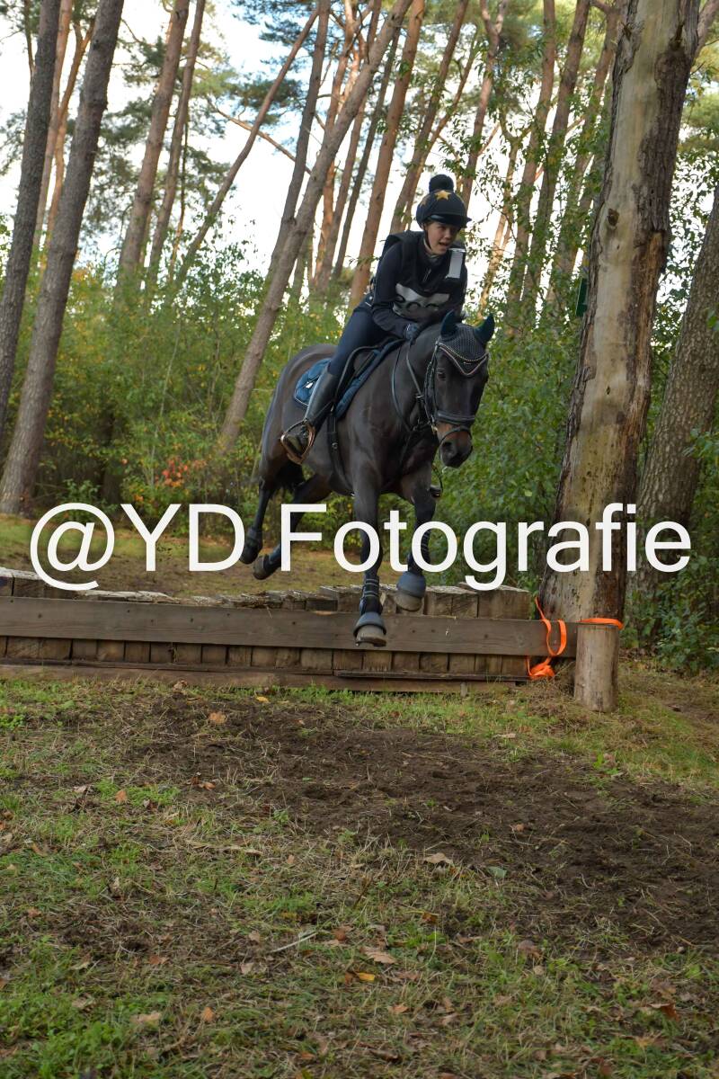 eventing-grobbendonk-4499-standard-7zl623.jpg