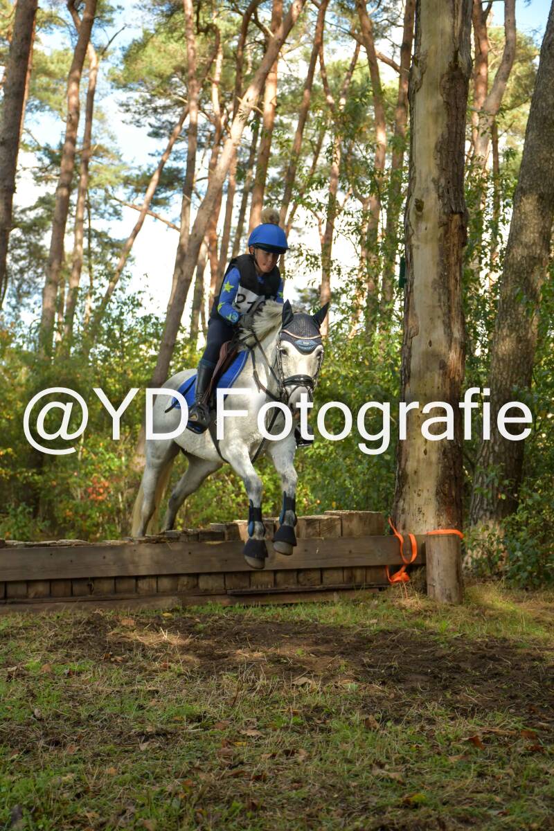 eventing-grobbendonk-4501-standard-zl7l17.jpg