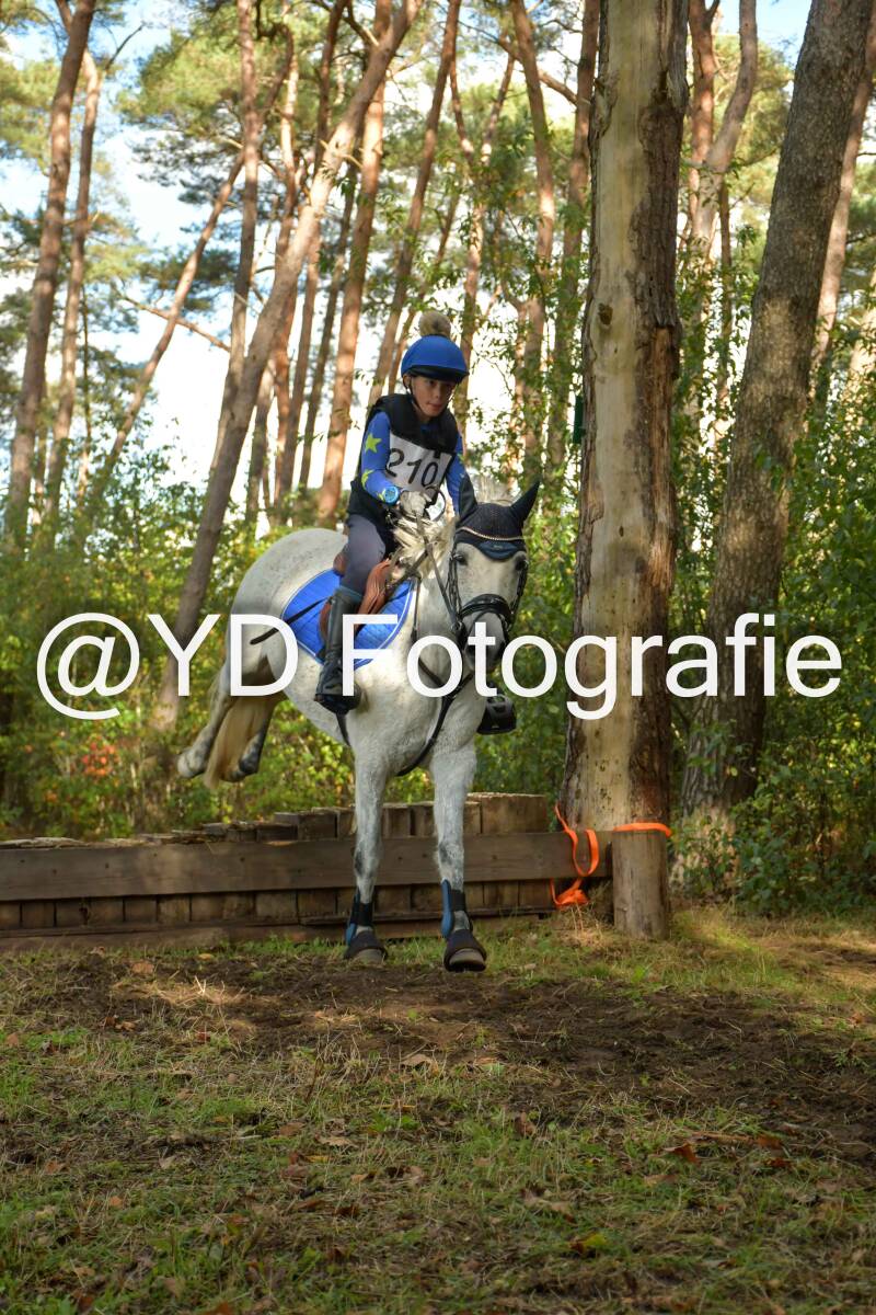 eventing-grobbendonk-4502-standard-jt41ea.jpg