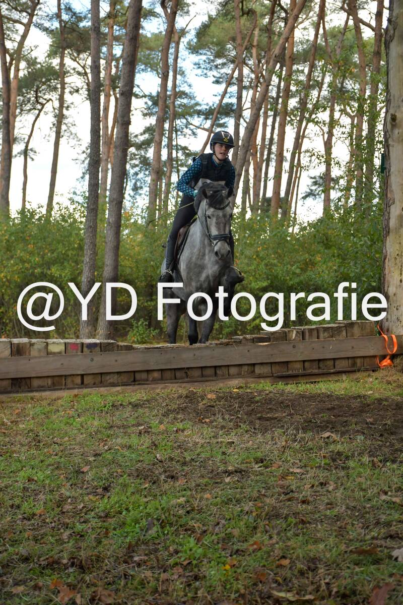 eventing-grobbendonk-4503-standard-oel4n5.jpg