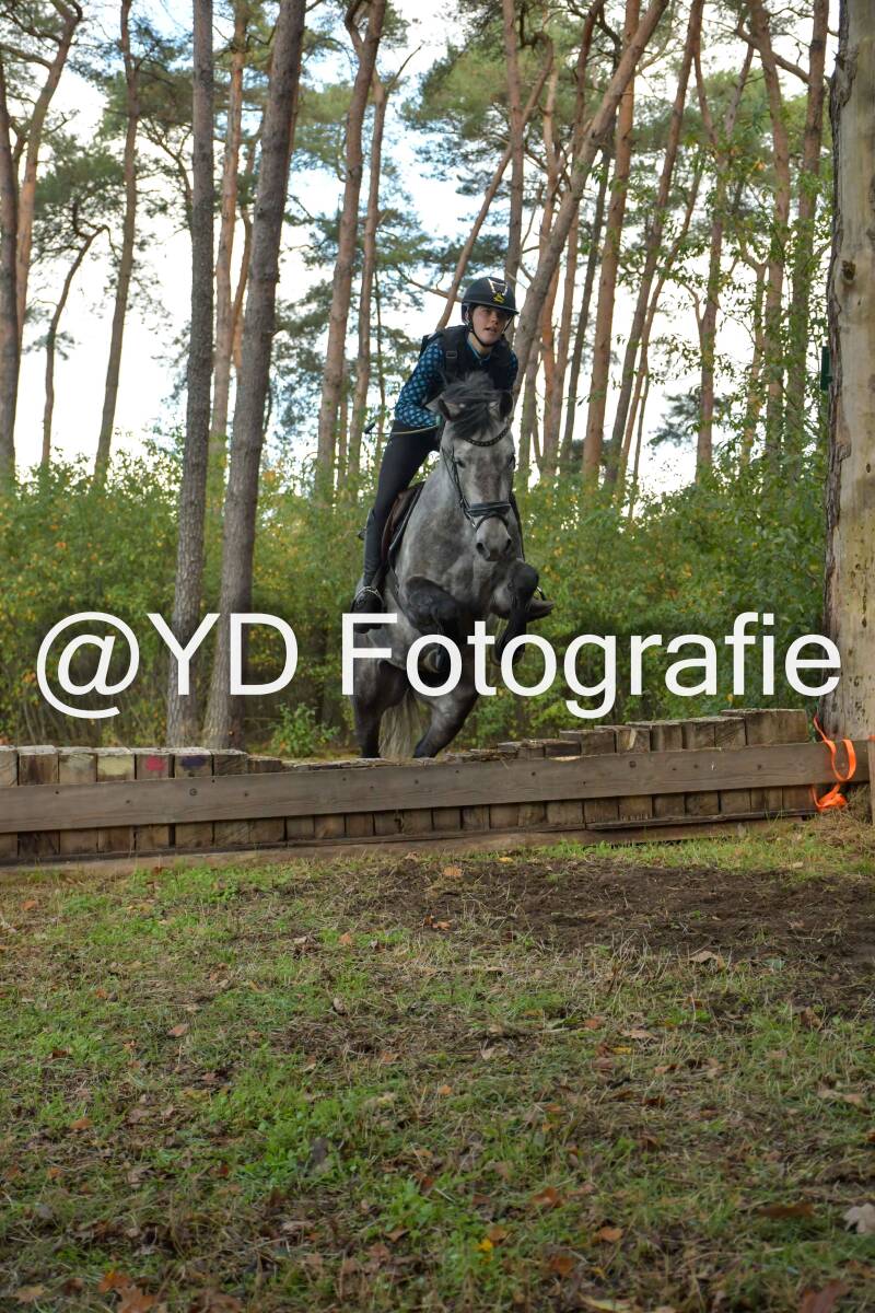 eventing-grobbendonk-4504-standard.jpg