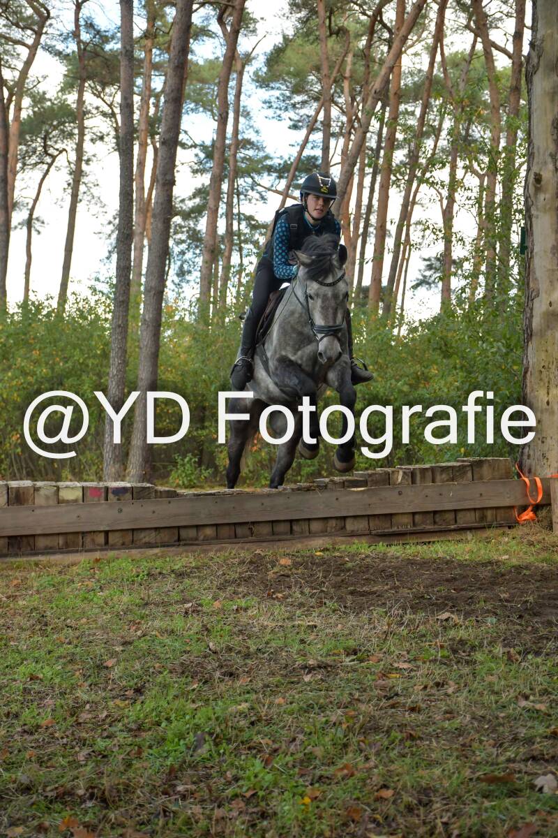 eventing-grobbendonk-4505-standard.jpg