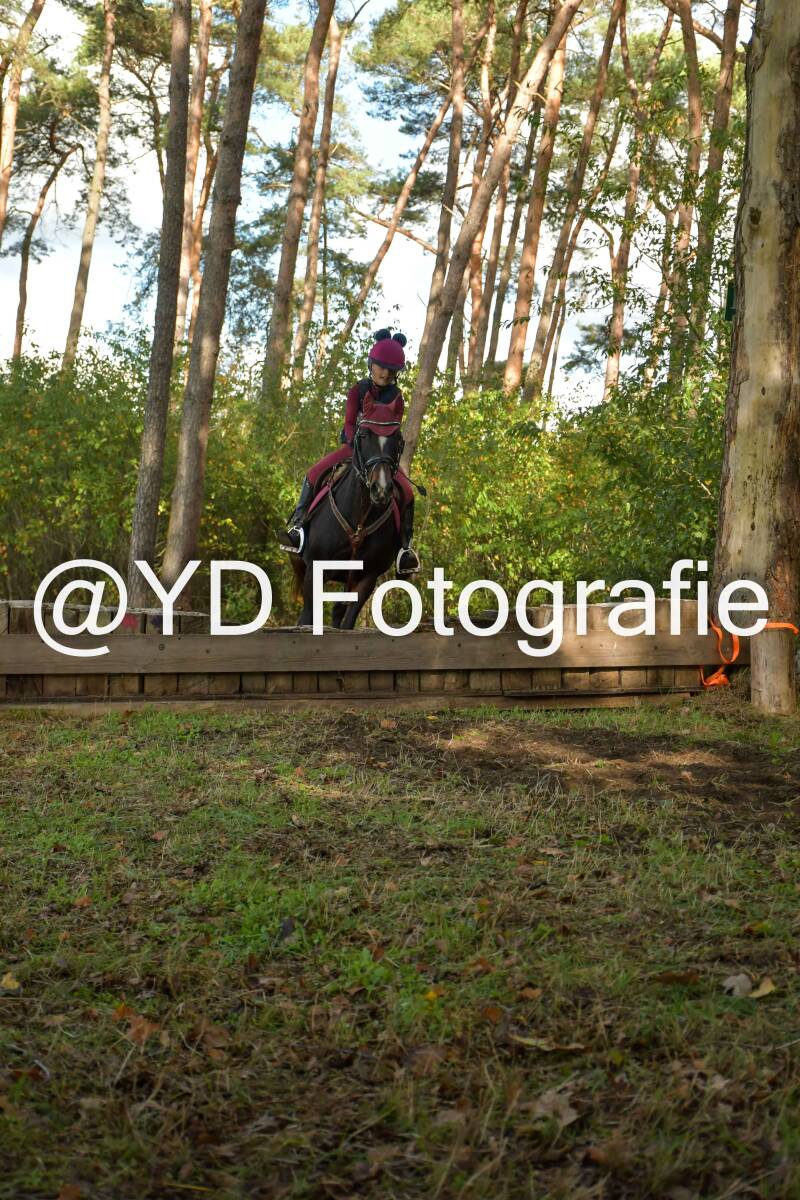 eventing-grobbendonk-4506-standard.jpg