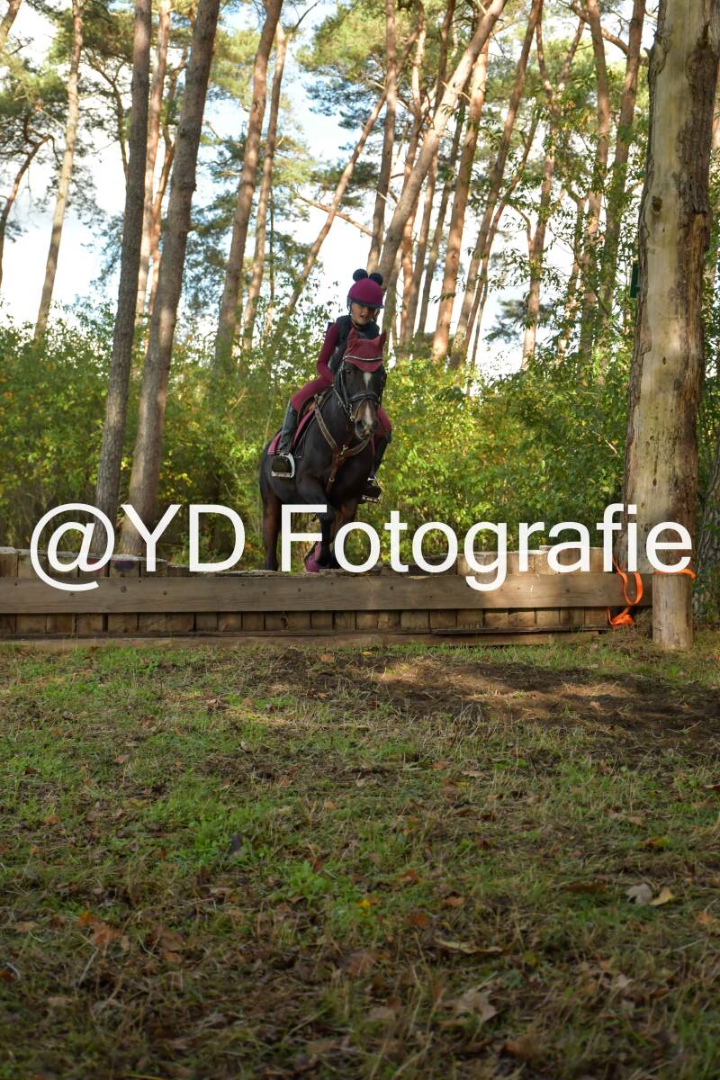 eventing-grobbendonk-4507-standard.jpg