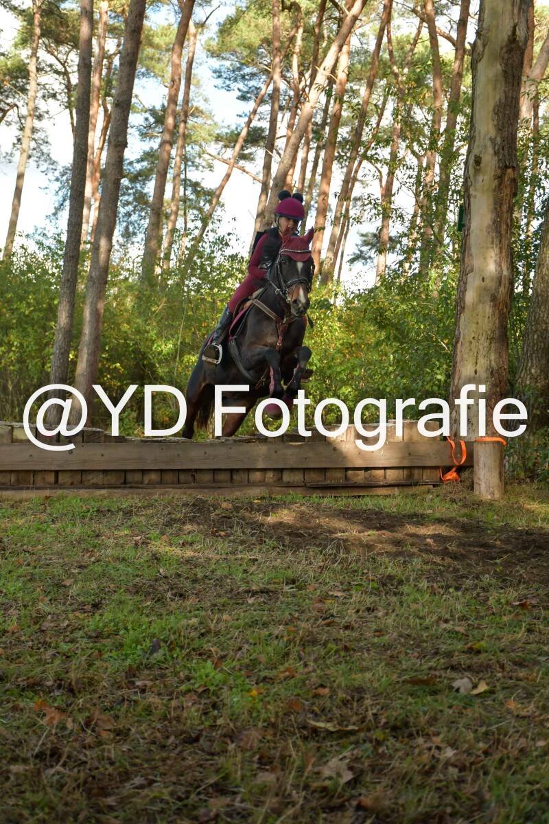 eventing-grobbendonk-4508-standard.jpg