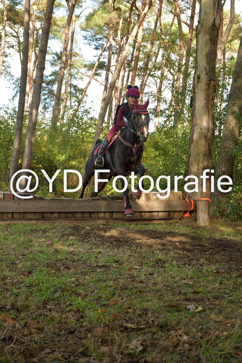 eventing-grobbendonk-4509-standard.jpg