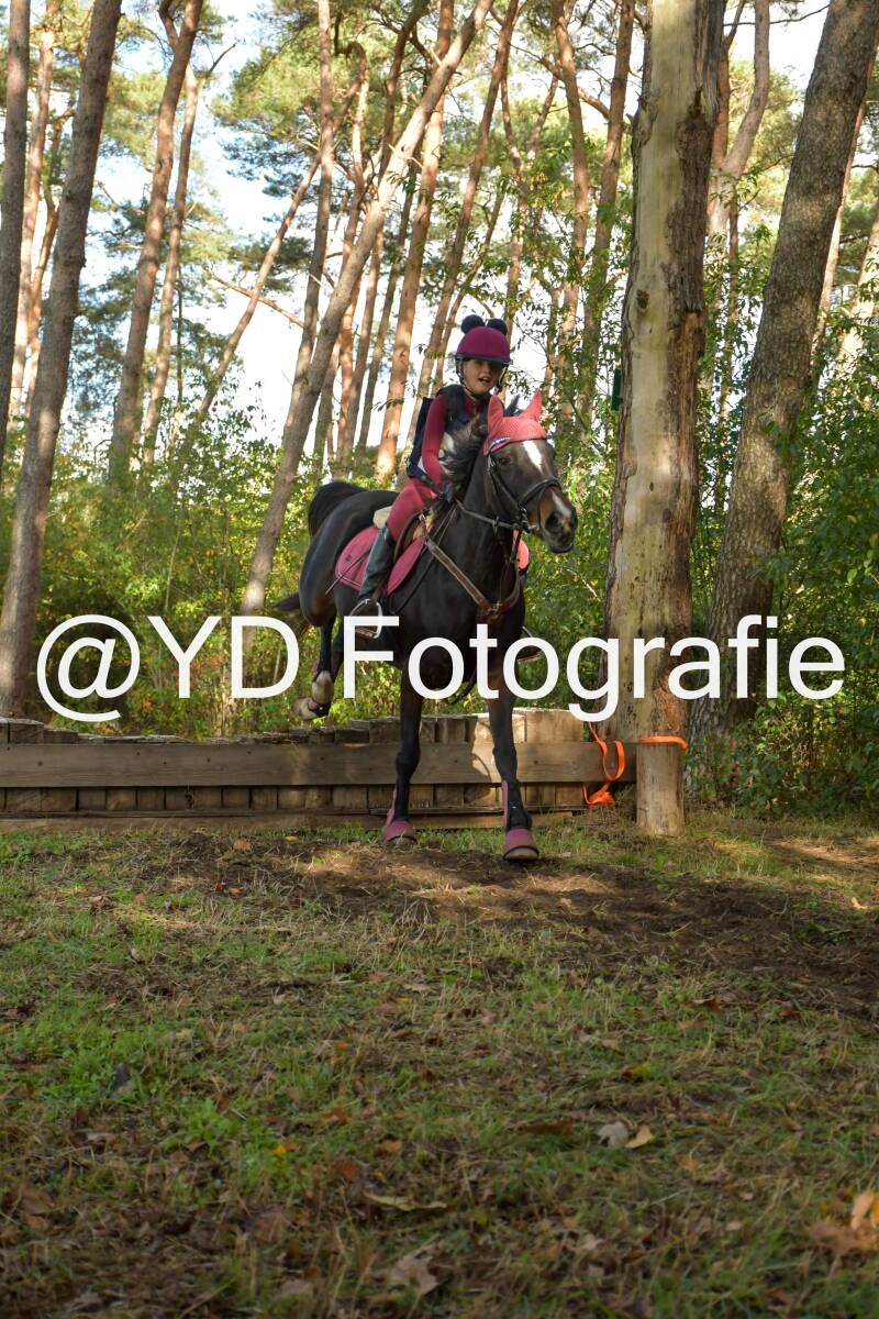 eventing-grobbendonk-4510-standard.jpg