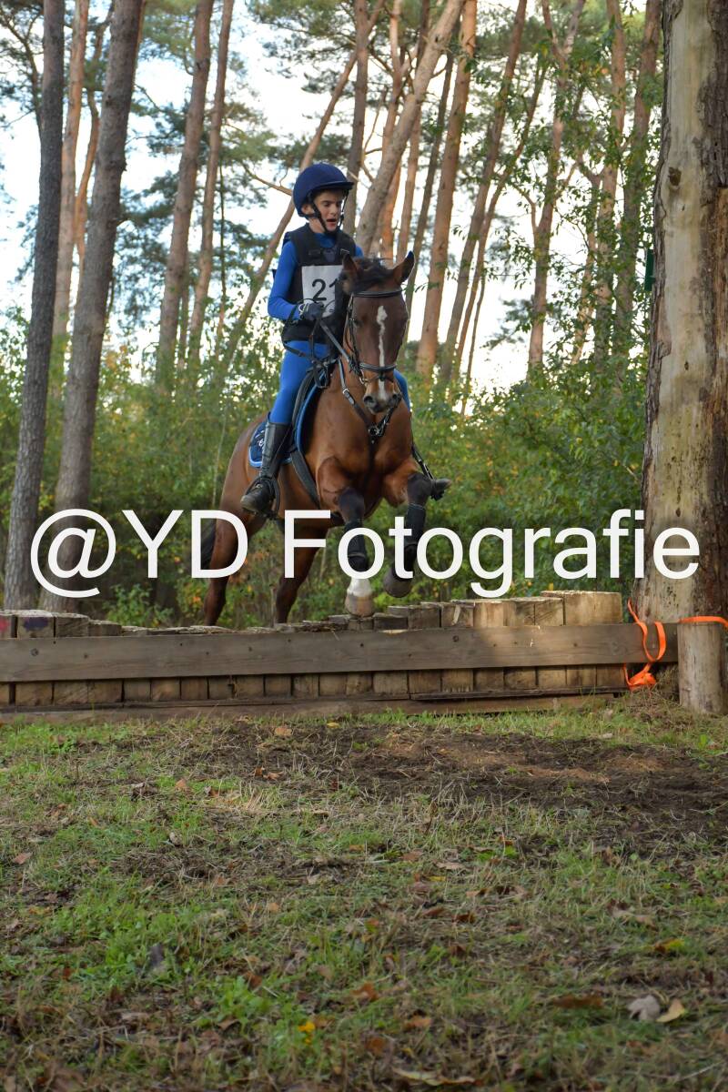 eventing-grobbendonk-4511-standard.jpg